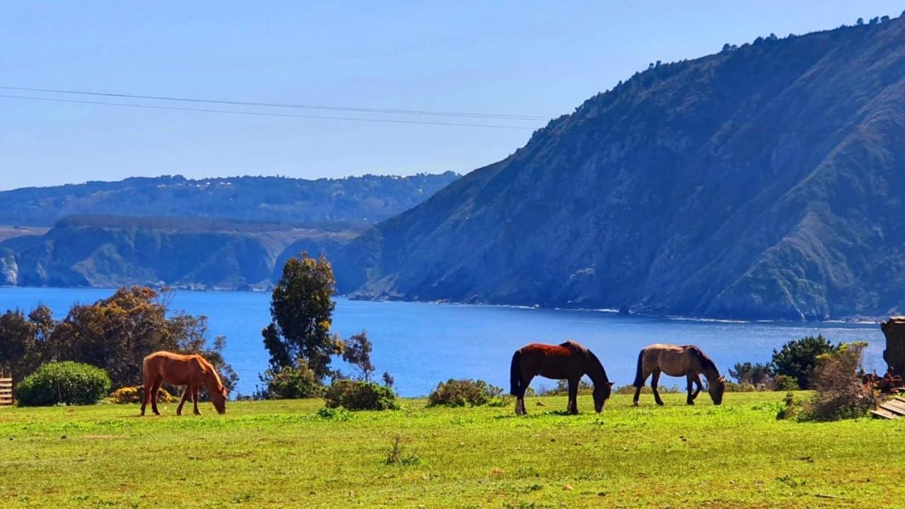 Cabana En Tunquen Con Parrilla, Fogon, Piscina Y Bosque Luaran gambar