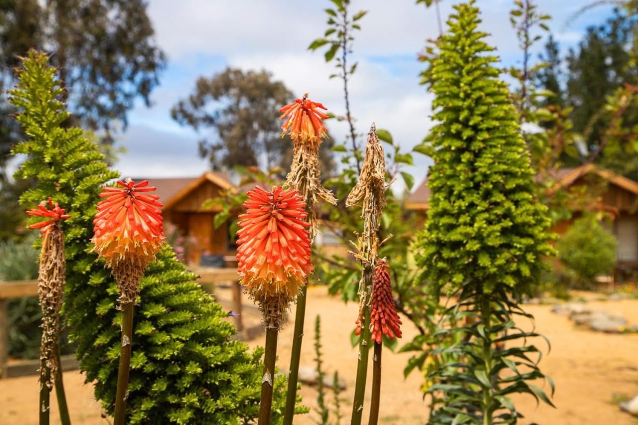 Cabana En Tunquen Con Parrilla, Fogon, Piscina Y Bosque Luaran gambar