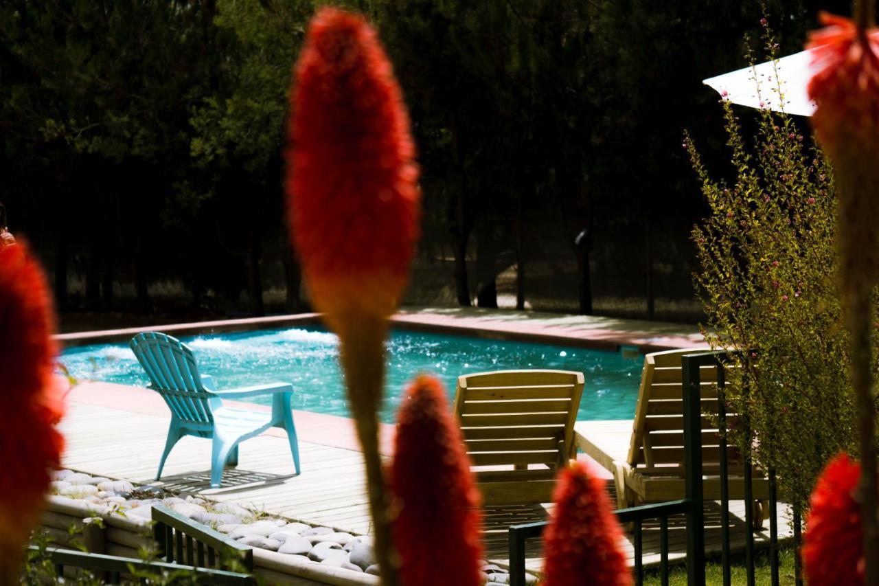 Cabana En Tunquen Con Parrilla, Fogon, Piscina Y Bosque Luaran gambar