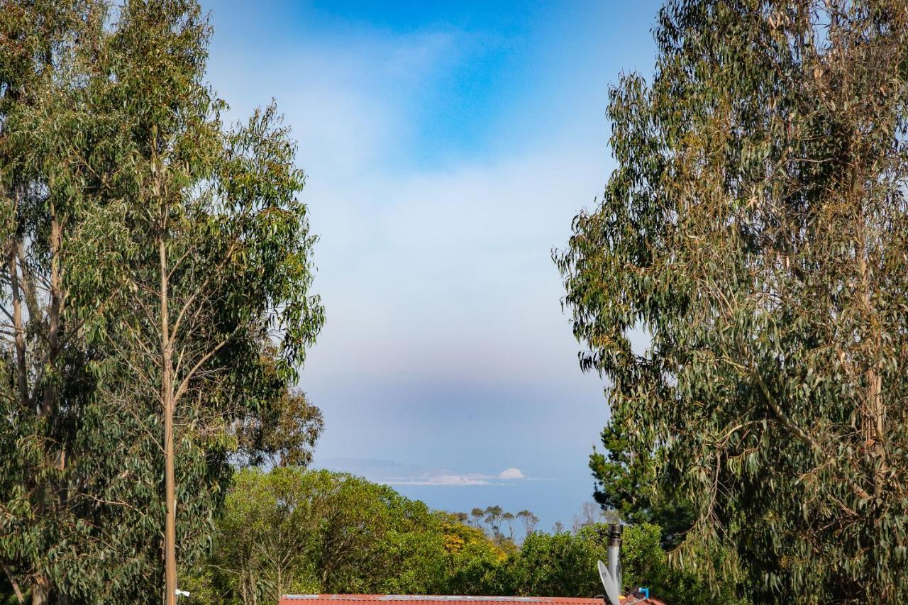 Cabana En Tunquen Con Parrilla, Fogon, Piscina Y Bosque Luaran gambar